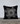 MANIFESTO - 18 X 18" Pillow Case